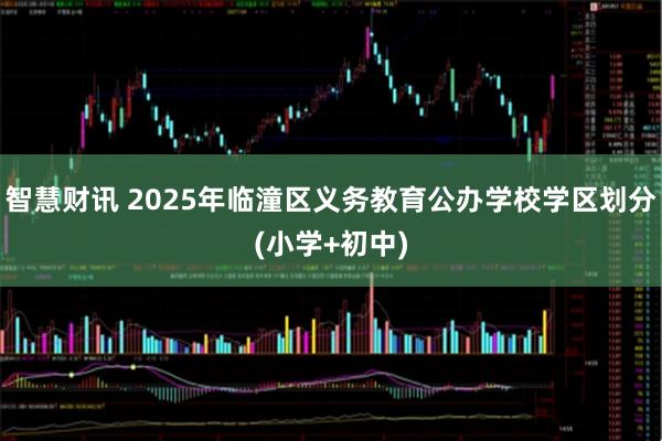 智慧财讯 2025年临潼区义务教育公办学校学区划分(小学+初中)