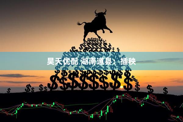 昊天优配 湖南道县：插秧