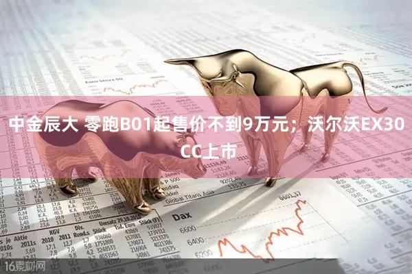 中金辰大 零跑B01起售价不到9万元；沃尔沃EX30 CC上市