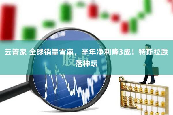 云管家 全球销量雪崩，半年净利降3成！特斯拉跌落神坛