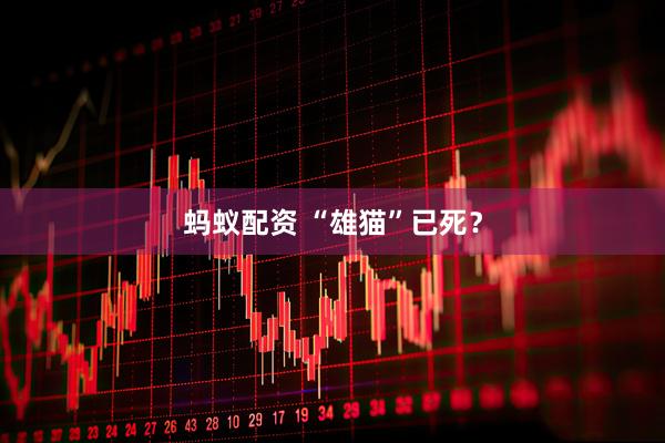 蚂蚁配资 “雄猫”已死？
