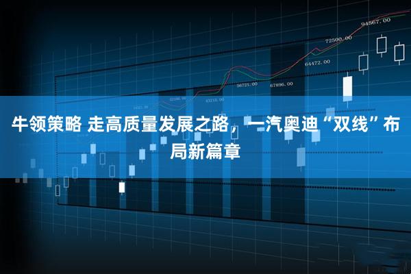 牛领策略 走高质量发展之路，一汽奥迪“双线”布局新篇章