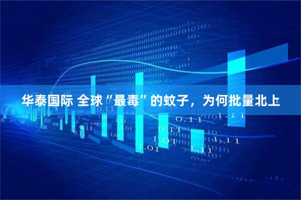 华泰国际 全球“最毒”的蚊子，为何批量北上