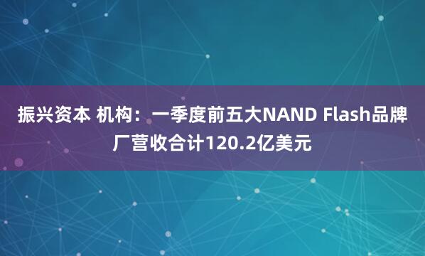 振兴资本 机构：一季度前五大NAND Flash品牌厂营收合计120.2亿美元