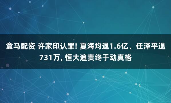 盒马配资 许家印认罪! 夏海均退1.6亿、任泽平退731万, 恒大追责终于动真格